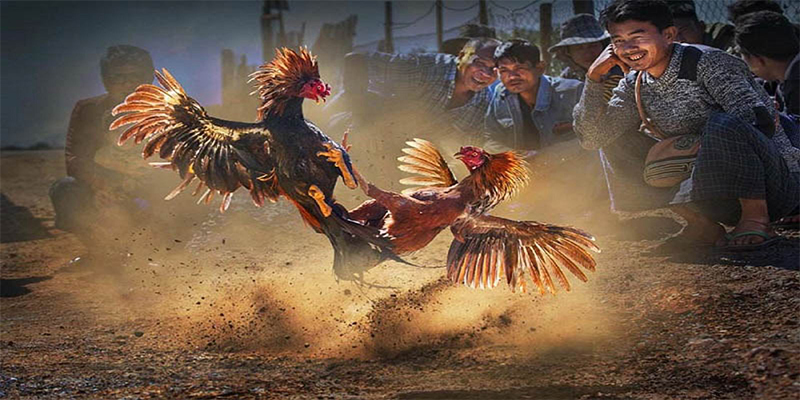 kenh14 đăng nhập roulette số 1