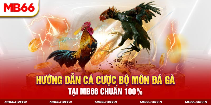 kenh14 xổ số bình định