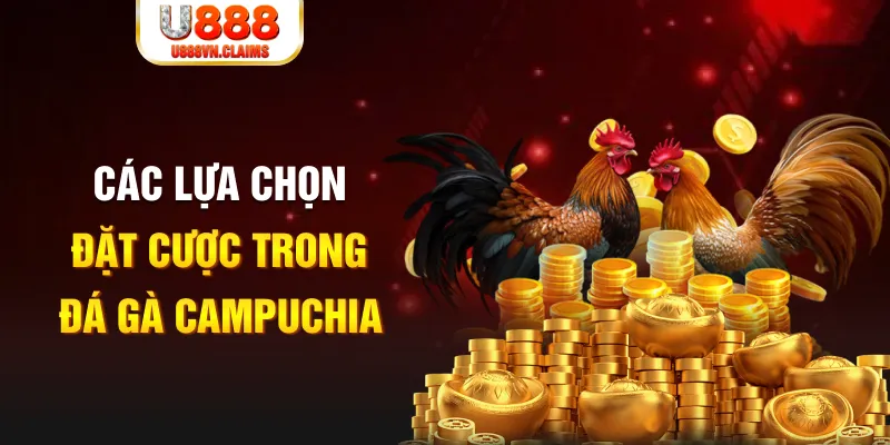 kenh14 SW Xổ Số