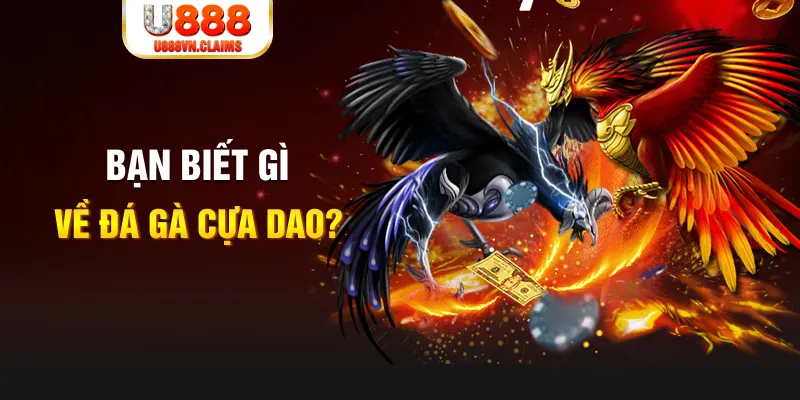 kenh14 xổ số kiến thiết