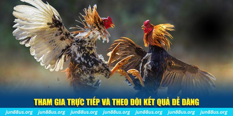 kenh14 đá gà trực tiếp bình luận viên