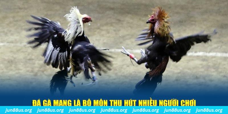 kenh14 xổ số cà mau