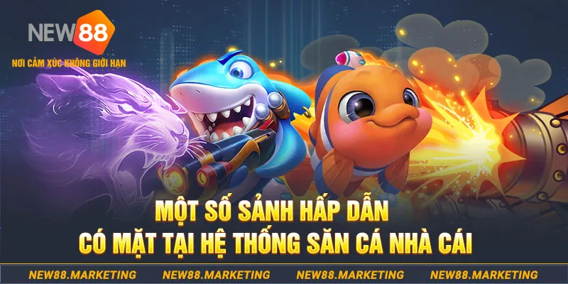 kenh14 đăng nhập sòng bạc 2025