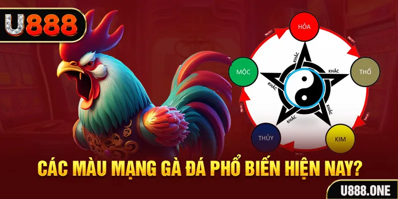 kenh14 đăng nhập mậu binh