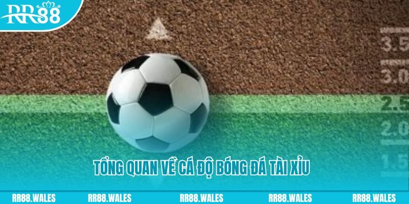 kenh14 đăng nhập lô đề online