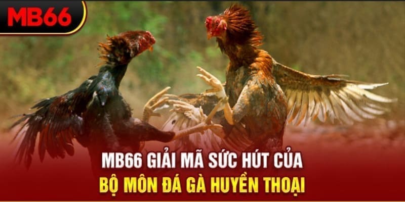 kenh14 Phi Đội Ưu Tú