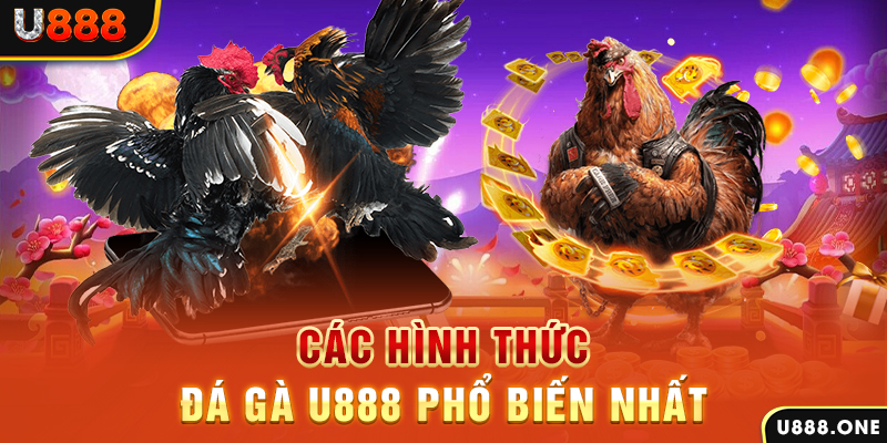 kenh14 DB Trực Tuyến