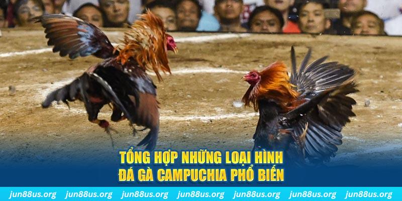 kenh14 ON Trực Tuyến