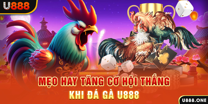kenh14 trực tiếp gà chọi c1