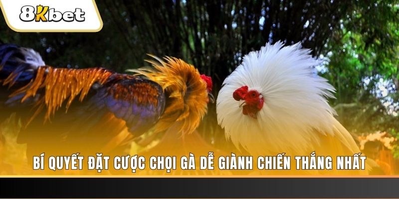 kenh14 Tài Xỉu 2