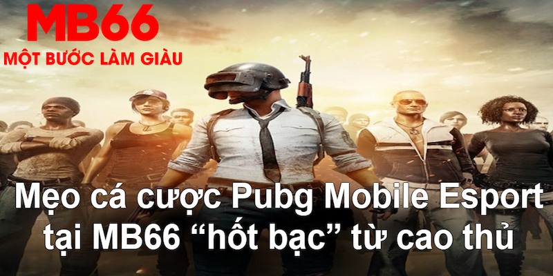 kenh14 gà chọi mộc hóa